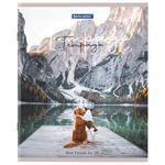 Тетрадь А5 48 л. BRAUBERG скоба, клетка, обложка картон, "Best Friends", 404360, 5шт