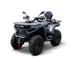 Квадрицикл Bizon YK250 LUX EFI ПТС