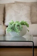 Keter Кашпо Cozies S  подвесное серый — фото 5