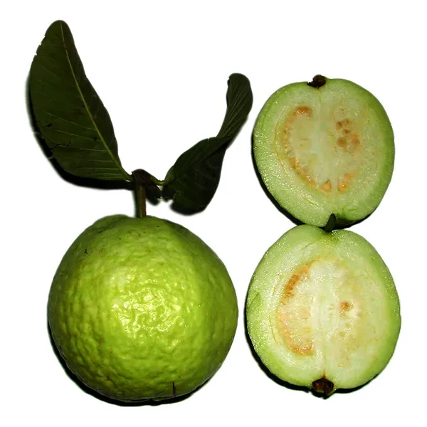 Гуава (Гуайява) Psidium guajava семена