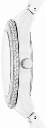 Женские наручные часы Fossil CE1113
