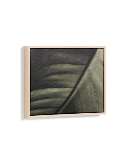 Фотография листа Foliae размер 32,5 x 42,5 см