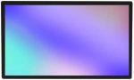 Панель Lumien  LFT2401PC