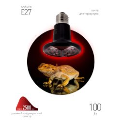 Инфракрасная лампа ЭРА CeramiHeat FITO-100W-НQ керамическая для брудера, рептилий 100 Вт Е27 | Инфракрасные лампы