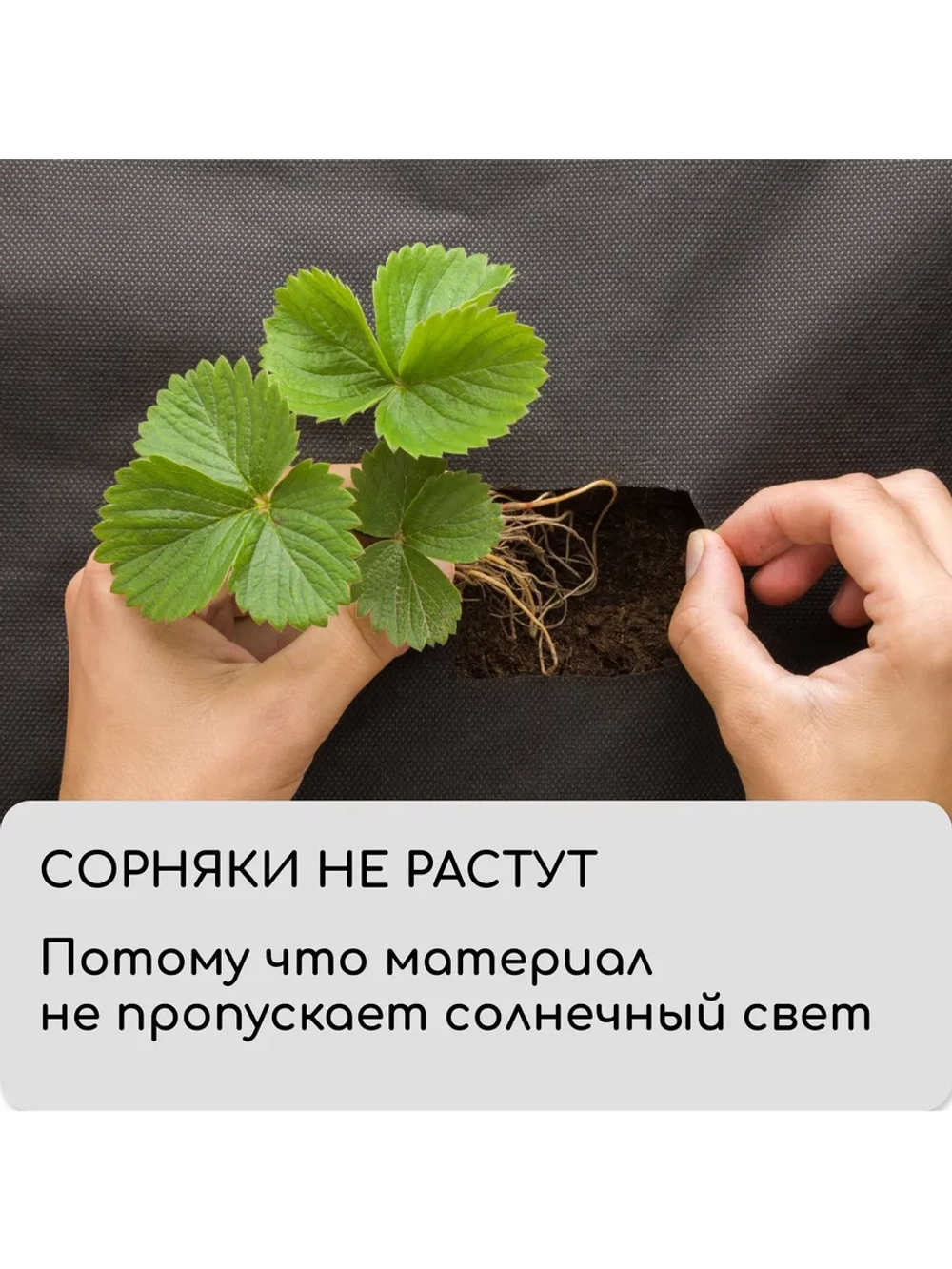 Мульчирующий материал
