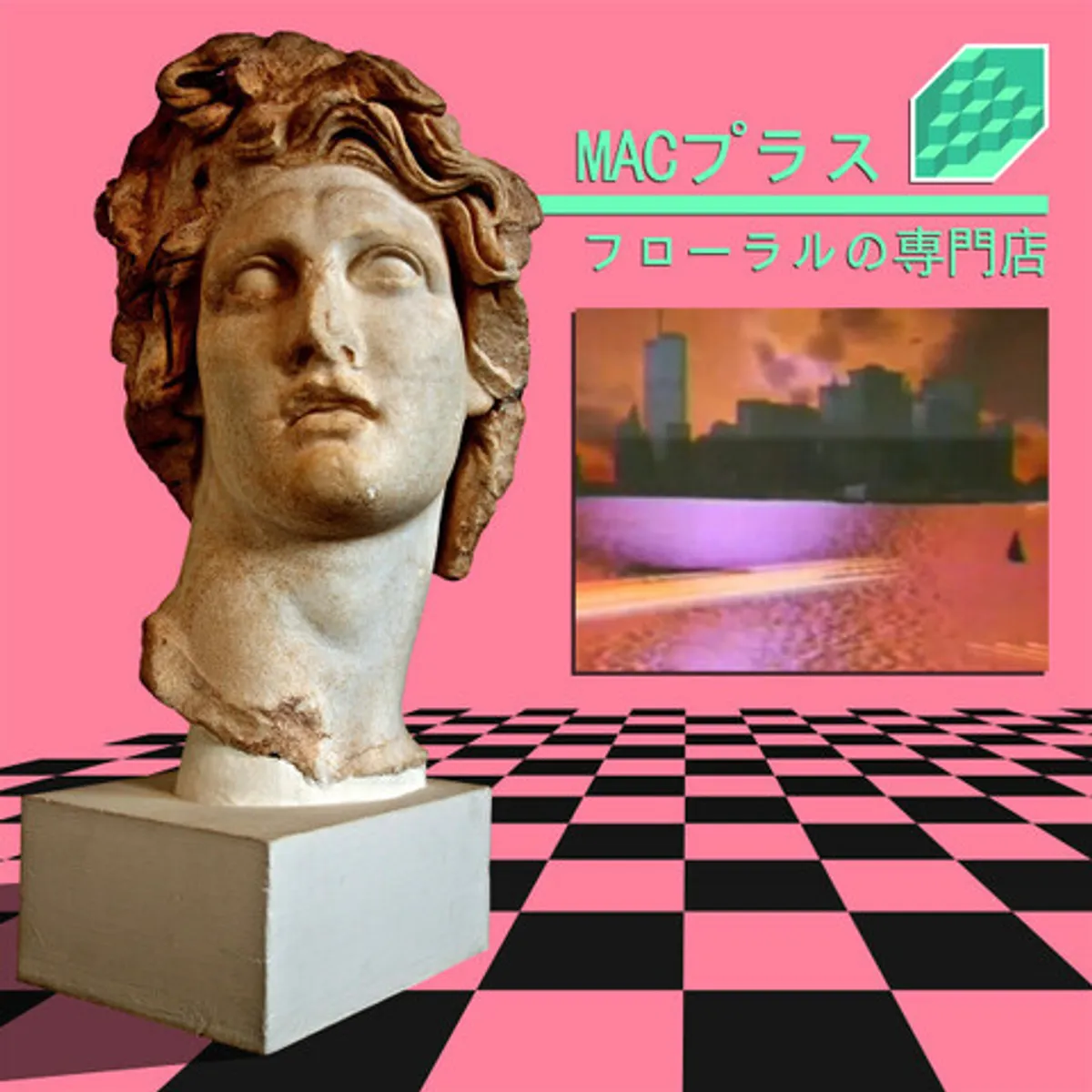 Виниловая пластинка. Macintosh Plus – Floral Shoppe MACプラス - フローラルの専門店