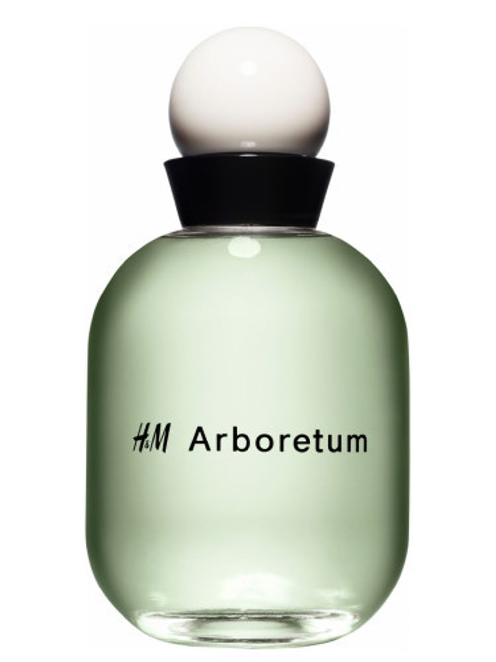 H and M Arboretum