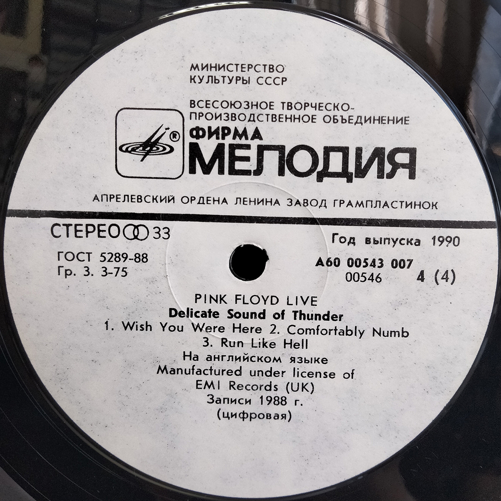 Pink Floyd / Delicate Sound Of Thunder (2LP)