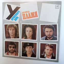 Винтажная виниловая пластинка LP Пламя У Серебрянного Бора (СССР 1989)