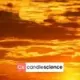 Отдушки CandleScience