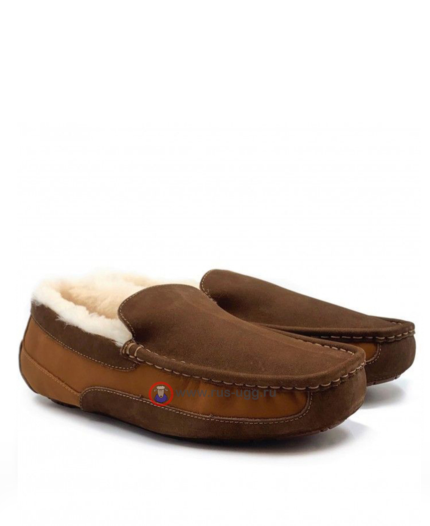ASCOT MENS cognac
