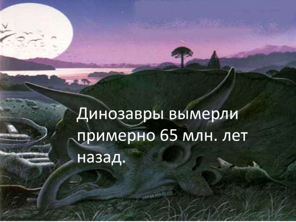 Набор Жизнь на Земле — купить по ФГОС | Учебный стандарт
