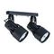 Спот Arte Lamp A6252PL-2BK