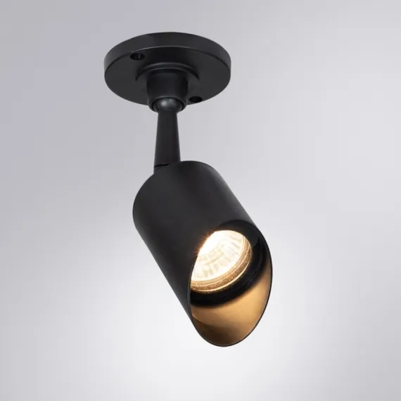 Прожектор уличный Elsie A1022AL-1BK Arte Lamp