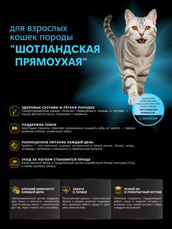 Корм сухой для взрослых кошек породы Шотландская прямоухая (Скоттиш-страйт), с лососем, 400 гр, QUATTRO
