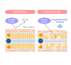 REVISIS Moist Facial Pack Увлажняющая 3D-маски с ламеллярной пропиткой для глубокого увлажнения , 10 шт в инд. упаковке.