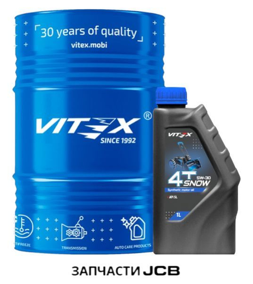Масло моторное Vitex Snow 4T