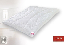 Одеяло всесезонное 200х220 Hefel Welness Beauty GD