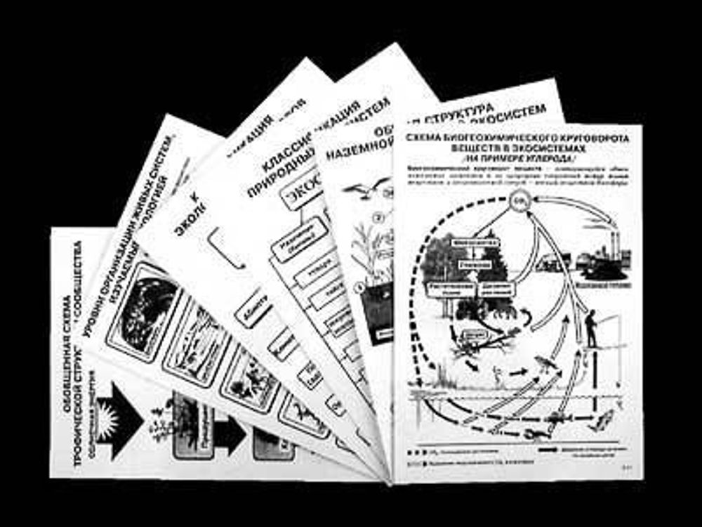 Таблицы раздаточные "Экосистема-экологическая единица окружающей среды" (А4, 12шт)