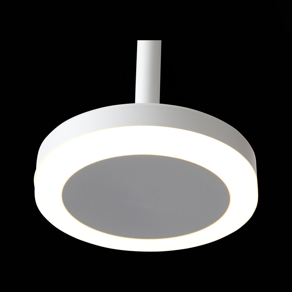 Светильник подвесной ST Luce Function ST104.503.06