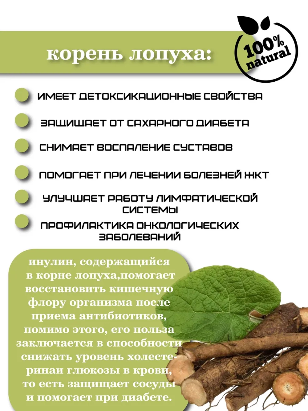Корень лопуха