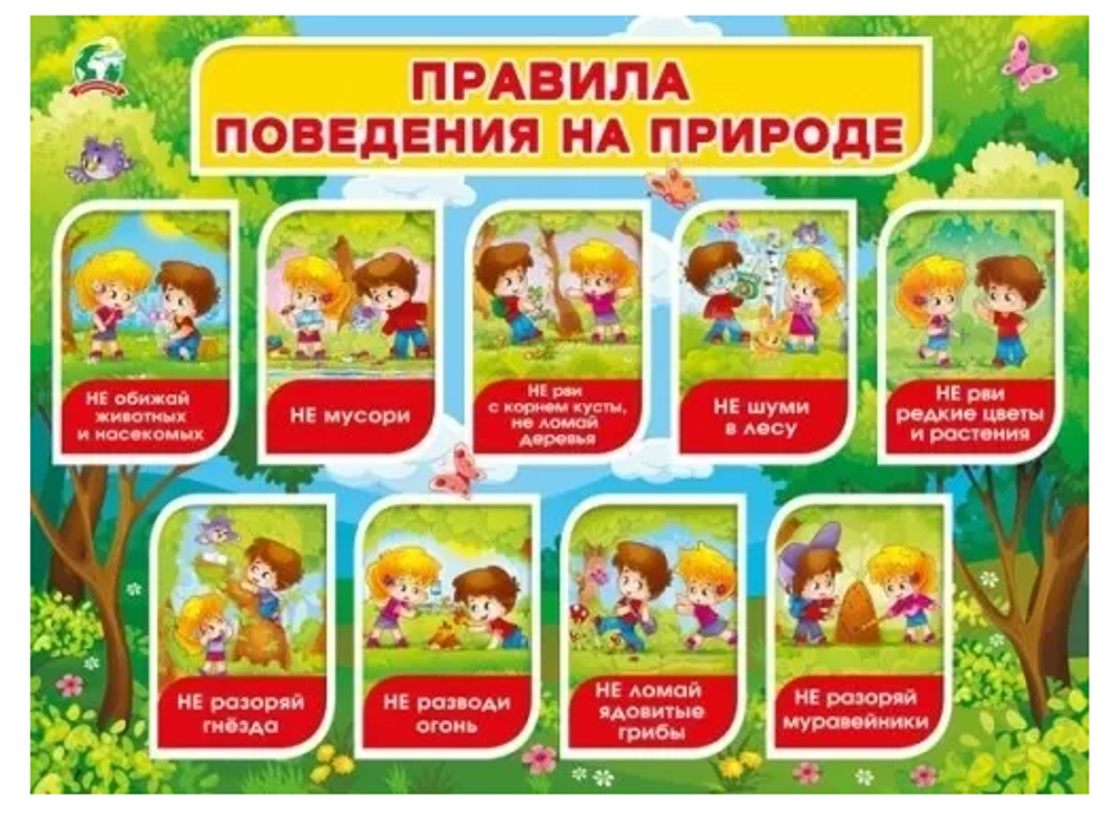 Плакат А2 "Правила поведения на природе" (Мир поздравлений)