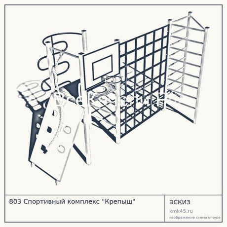 803 Спортивный комплекс "Крепыш"