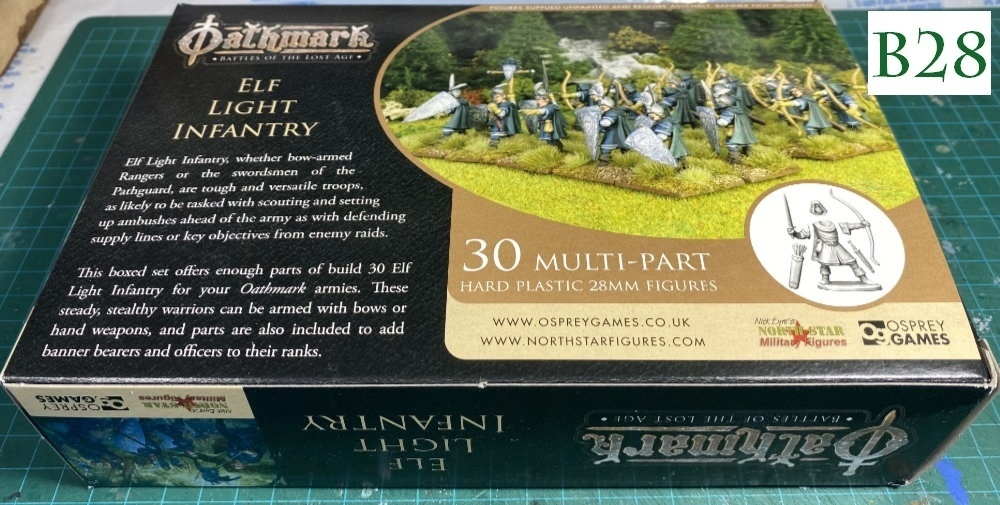 Elf Light Infantry