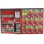 Полностью заполненный альбом наклеек. PANINI Чемпионат Европы 2008. Футбол