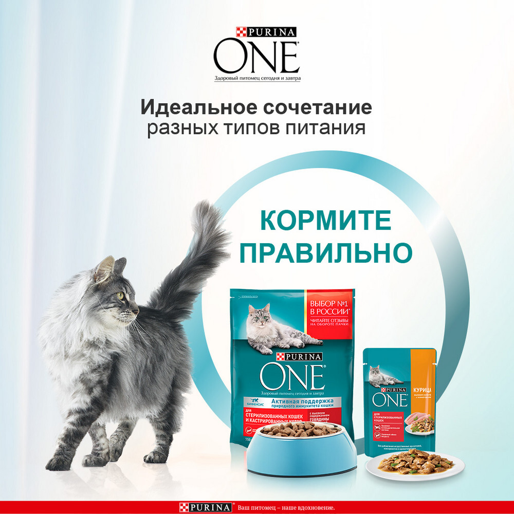 Курица с зелёной фасолью, 75г влажный корм для стерилизованных кошек Purina ONE