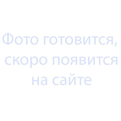 Мотор-редуктор в сборе для блинного аппарата РК-2.1 универсального типа