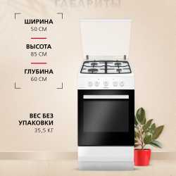 Газовая плита Hansa FCGW530253H
