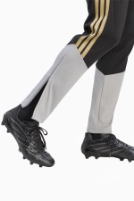 Штаны adidas Juventus FC 26/27 Competition Training - черный