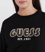 Худи CN SHADED LOGO GUESS - черный(W3YQ13 K8802)