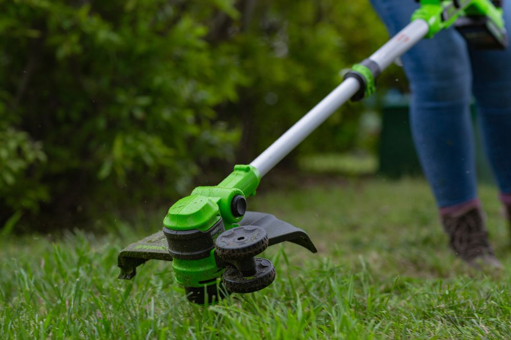 Триммер аккумуляторный Greenworks G24LT301, 24V, 30 см, с 1хАКБ 2А и ЗУ (2113207UA)