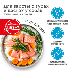 Корм сухой для взрослых собак очень крупных пород, премиум полнорационный комплекс, для заботы зубов и десен, с лососем, 2,5 кг, QUATTRO