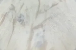 Отр
