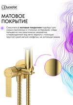 Смеситель  Lemark Онегин Onegin LMF-8558B-BRG с гигиеническим душем, встраиваемый