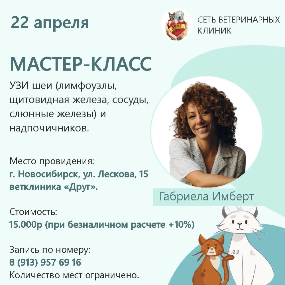 Мастер-класс УЗИ шеи (лимфоузлы, щитовидная железа, сосуды, слюнные железы) и надпочечников