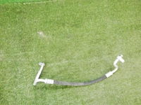 DSCN0295.jpg
