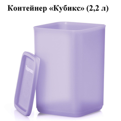 Контейнер "Кубикс" 1 л. голубой