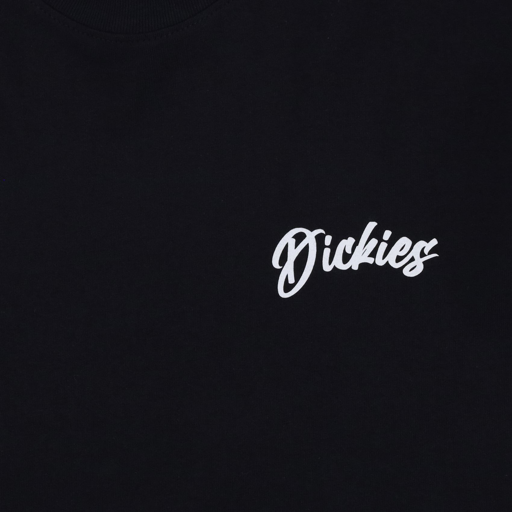 Футболка Dickies Dighton Graphic T-Shirt (black) артикул: - купить в магазине Дайс