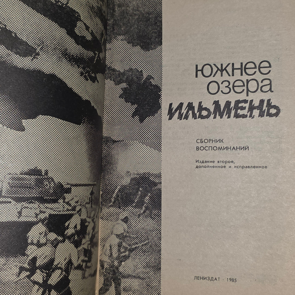 Книга "Южнее озера Ильмень"