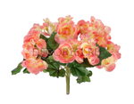 Бегония куст нежно-коралловый со св.жёлтым в-15 см 12/72 20.1087PE
