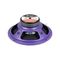 DL Audio Piranha 200