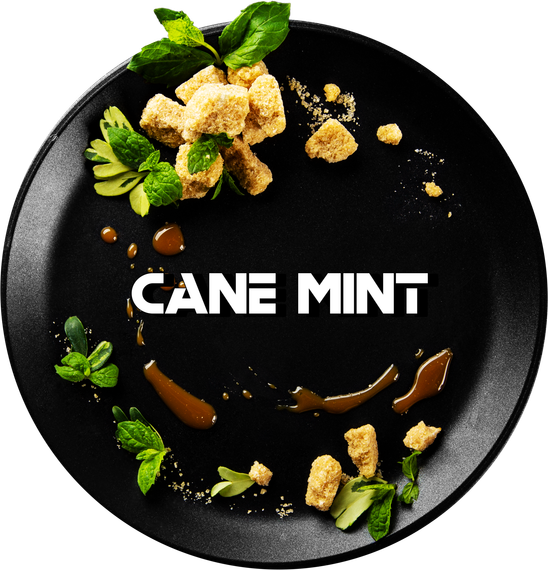 Black Burn - Cane Mint (25г)
