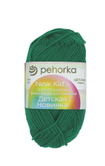 Пряжа "Детская новинка" 742 Бильярд