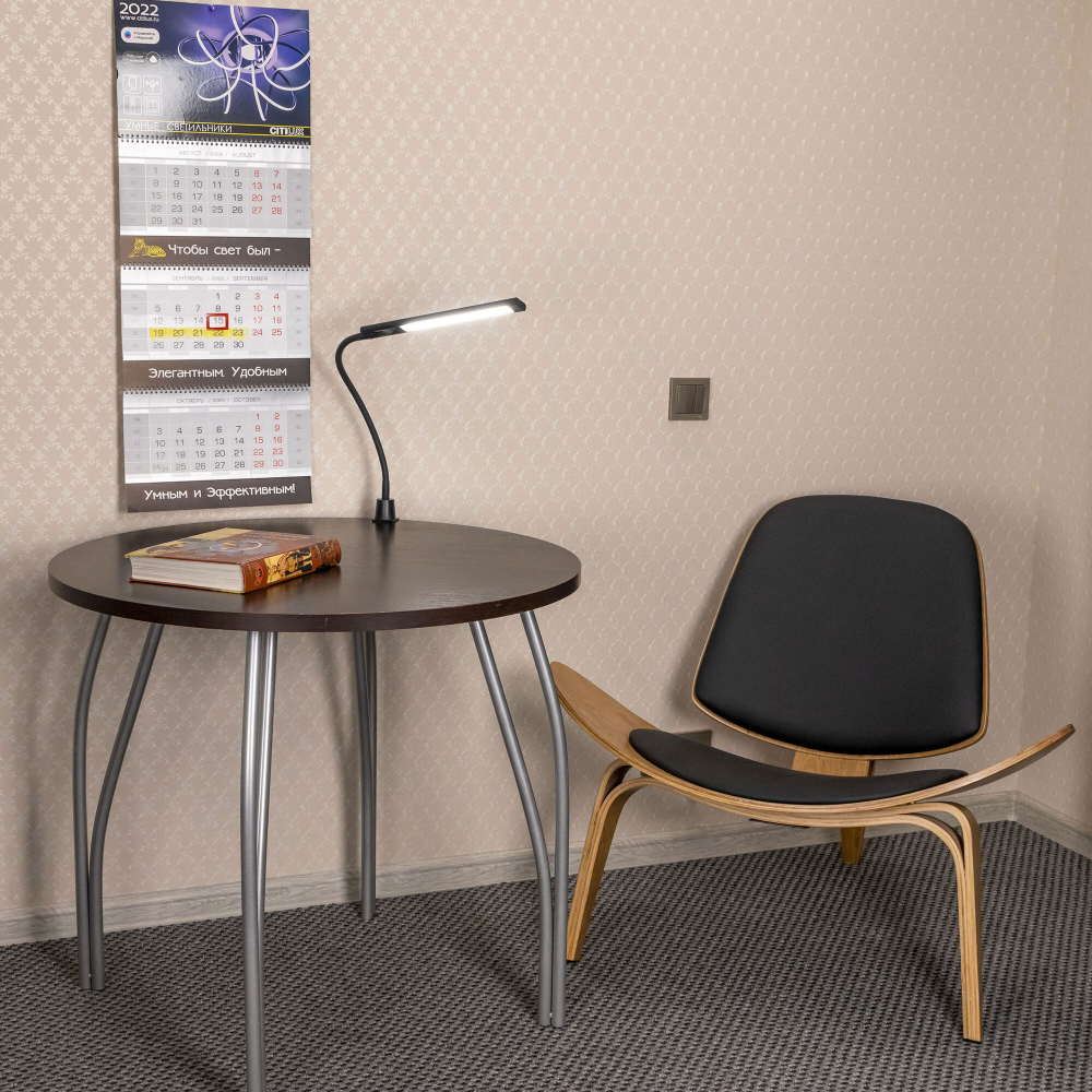 Citilux Рио CL803091N Настольная лампа гибкая на струбцине Чёрная