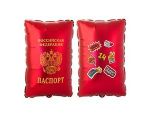 К ФИГУРА Паспорт 21"
