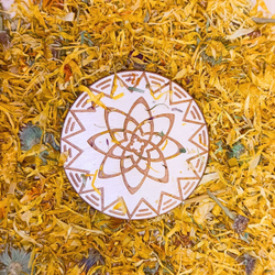Календула (цвет)